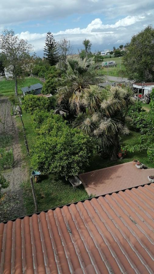 B&B Cilento بييسْتوم المظهر الخارجي الصورة